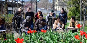 Watercolor Workshop: Spring Blooms @ Queens Botanical Garden